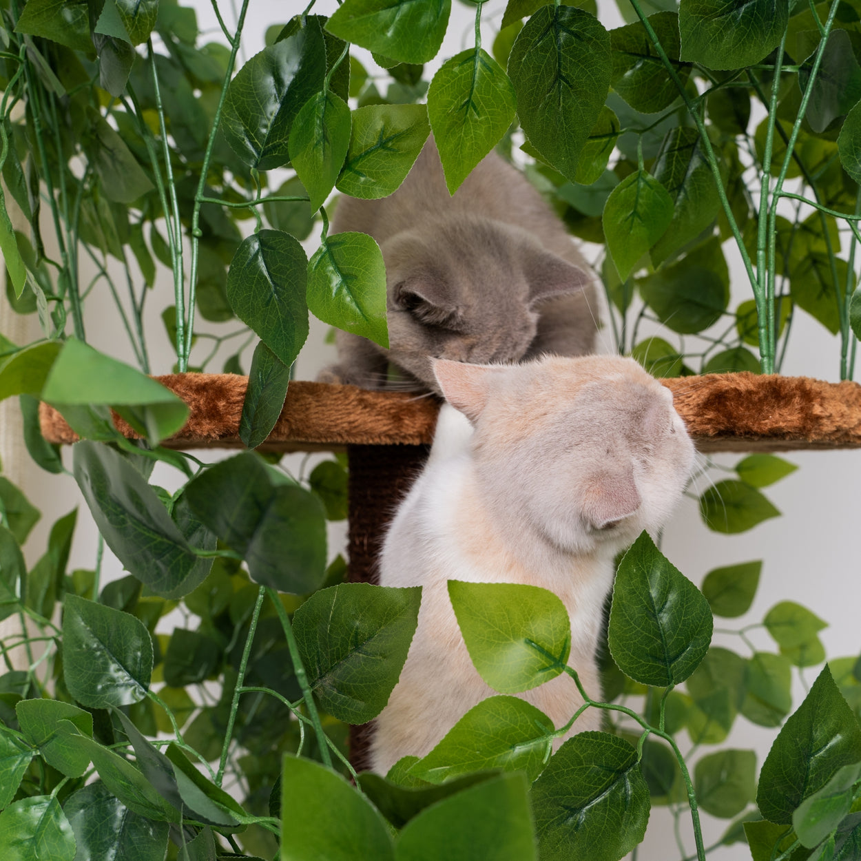 Cat Tree Natural Leaves
