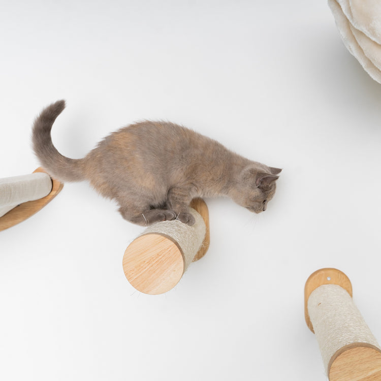Cat Climbing Wall - Sisalpole Set (Beige)