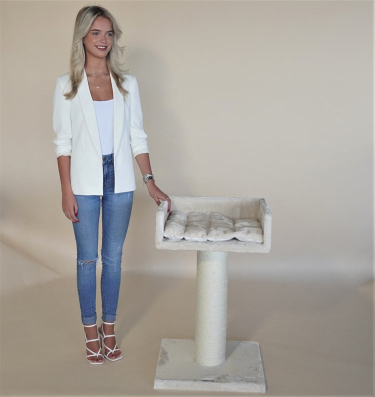 Ragdoll Lounge Beige