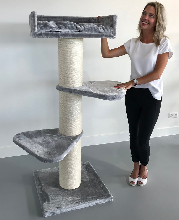 Royal Suite Light Grey