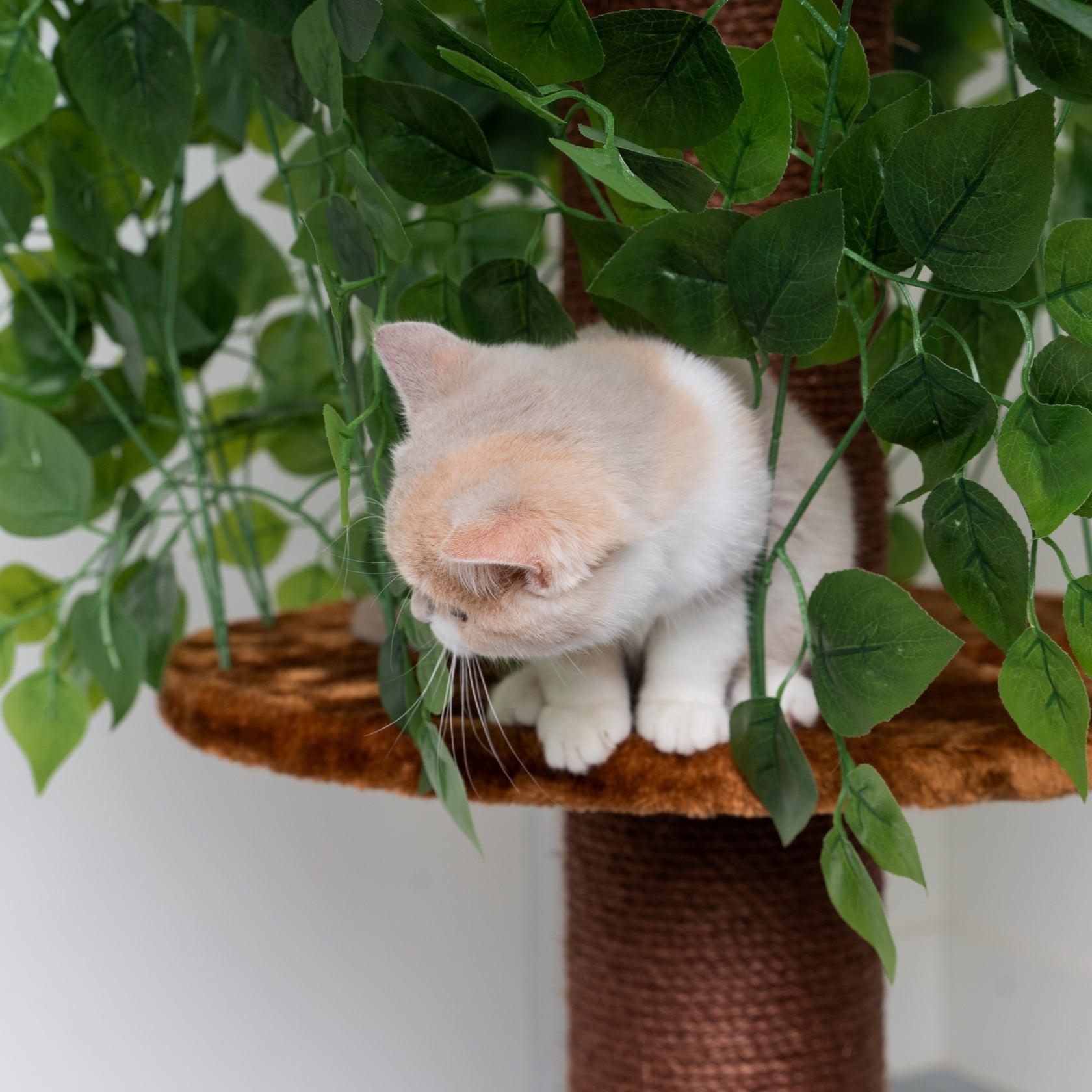 Cat Tree for large cats Cat Tree Natural Leaves - CatTreeKing USA