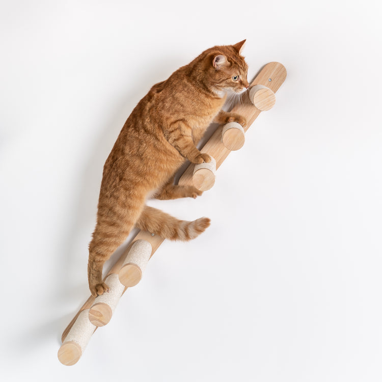 Cat Climbing Wall - Ladder Kit (Beige)
