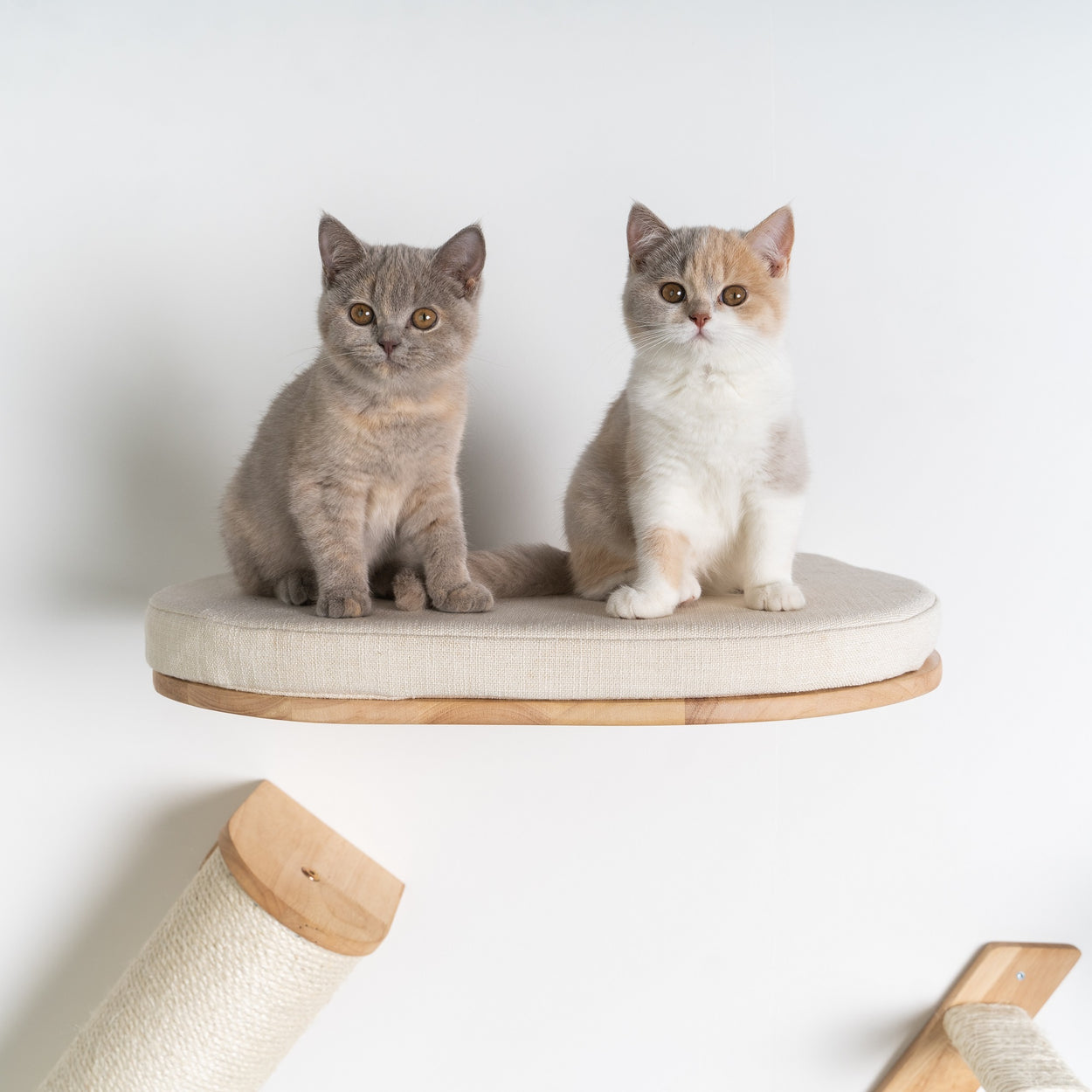 Cat Climbing Wall - Cat Bed de Luxe (Beige)