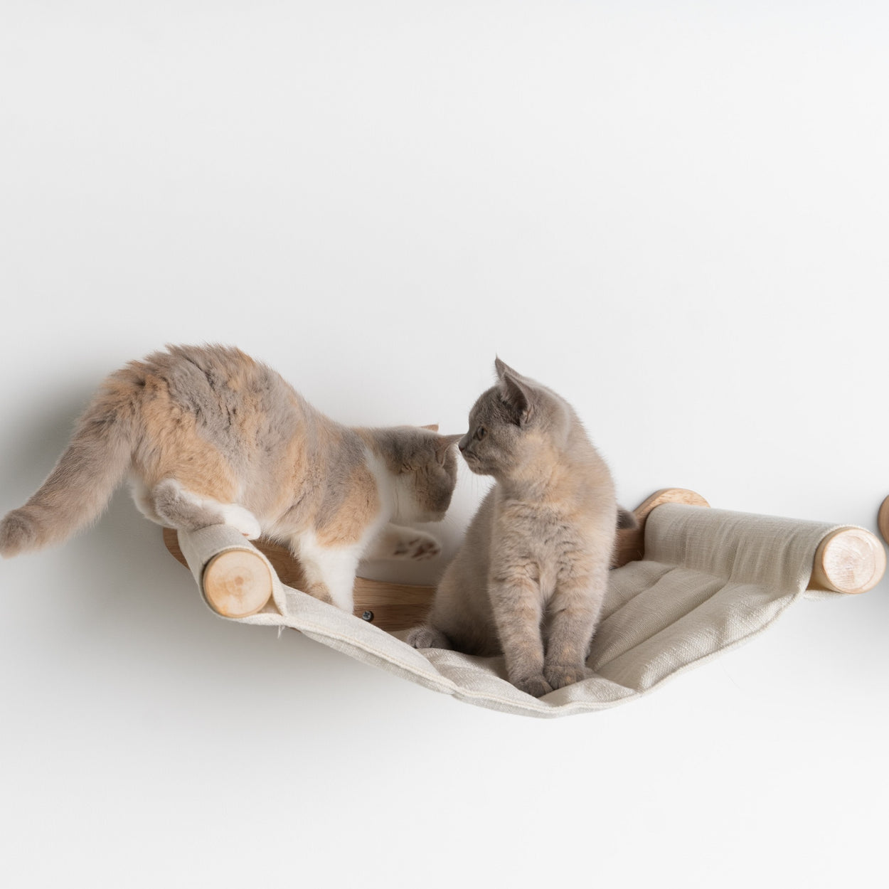 Cat Climbing Wall - Hammock de Luxe XXL (Beige)