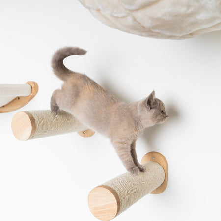 Buy cat tree best sale