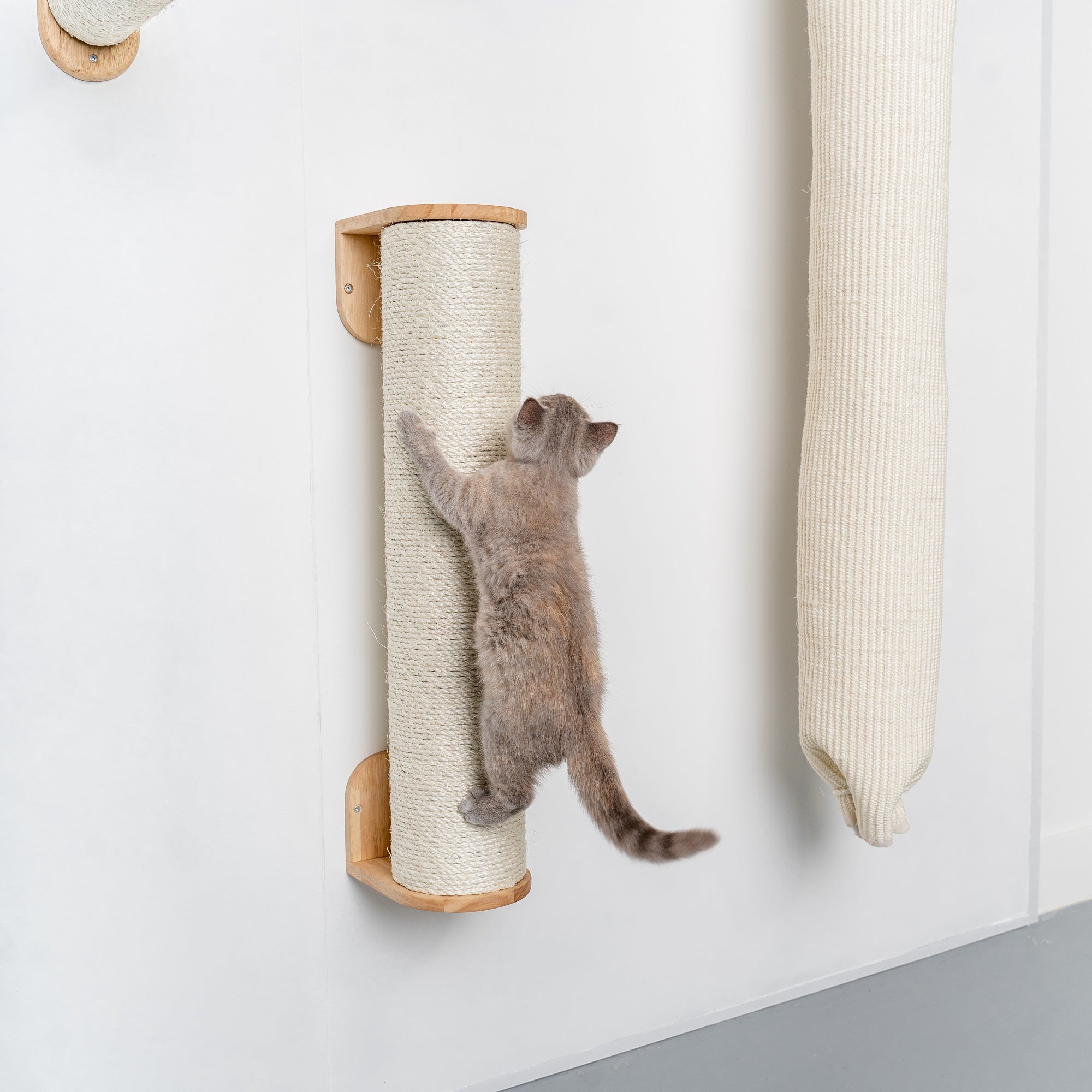 Cat Climbing Wall Sisalpole XXL Beige CatTreeKing USA