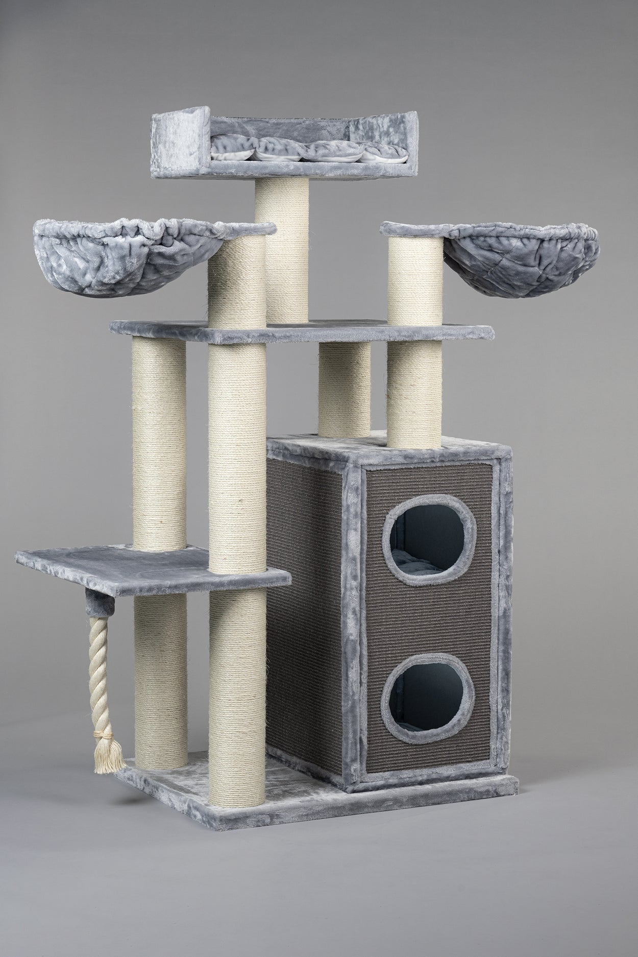 Large grey cat top tree
