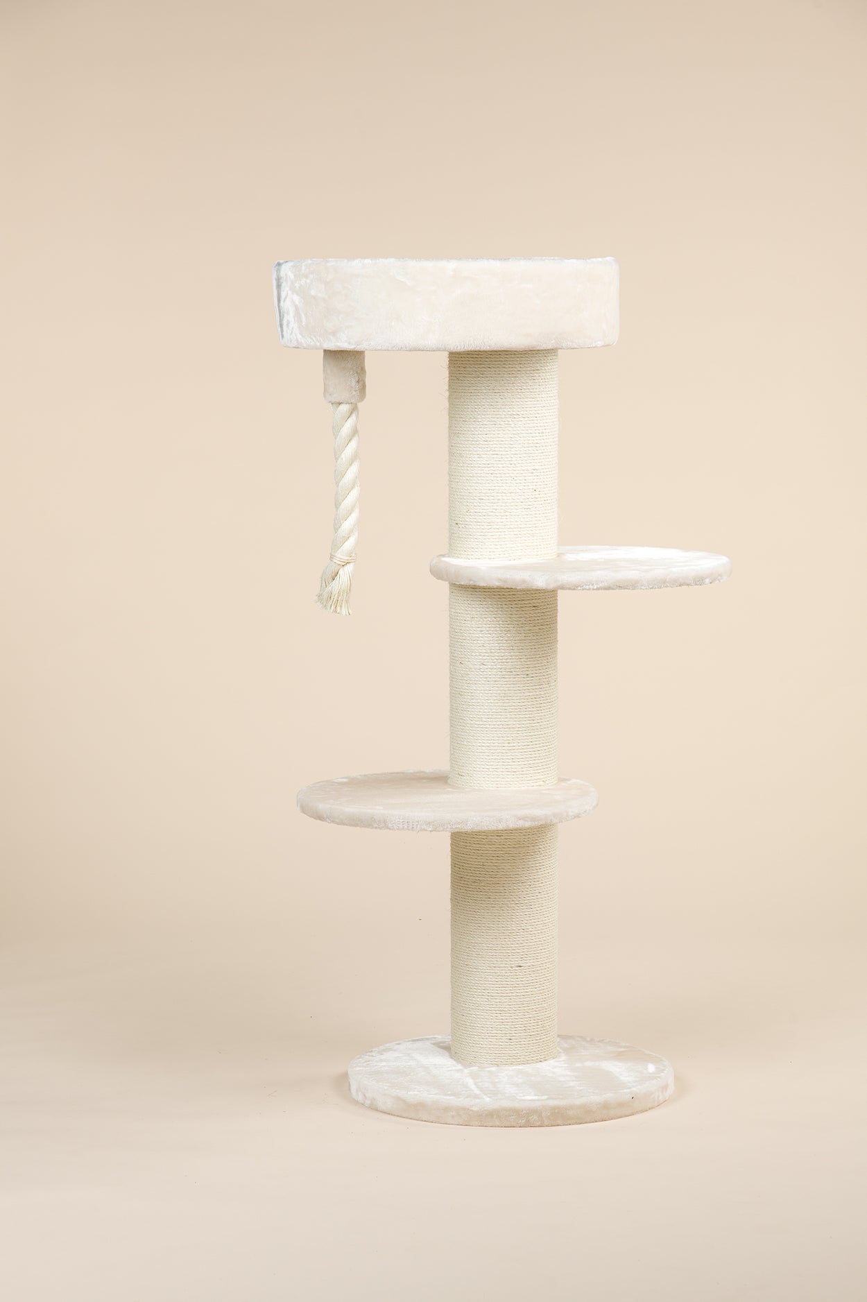 Maine Coon Sleeper Beige