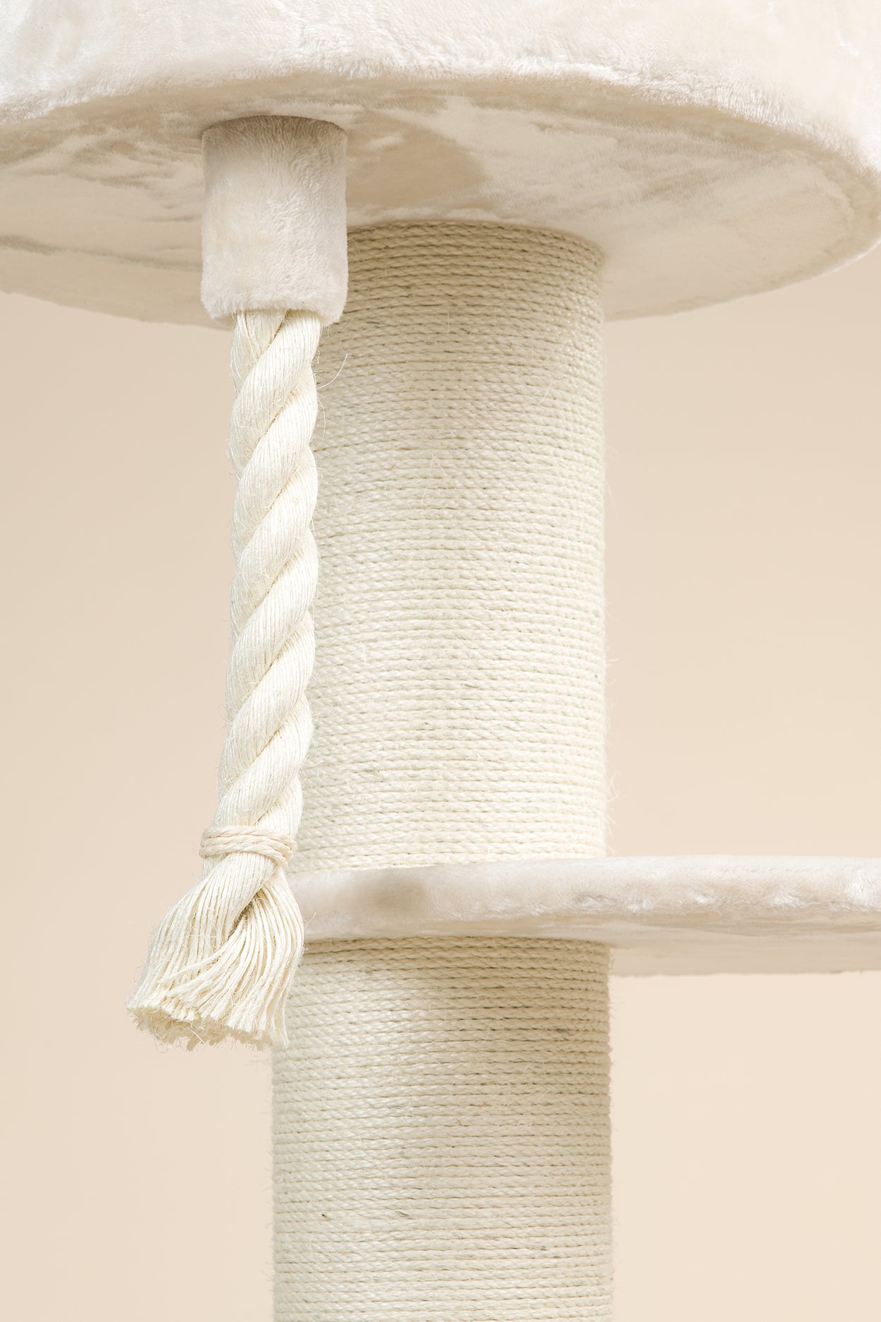 Maine Coon Sleeper Beige