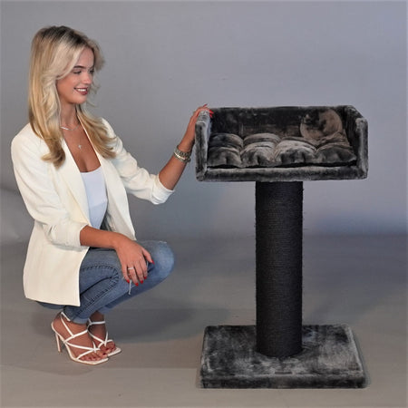 Ragdoll Lounge Blackline Dark Grey